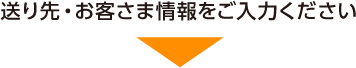 送り先・お客さま情報をご入力ください