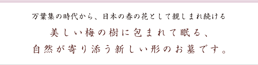 万葉集の時代から、日本の春の花として親しまれ続ける　美しい梅の樹に包まれて眠る、 自然が寄り添う新しい形のお墓です。