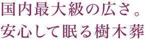 国内最大級の広さ。 安心して眠る樹木葬