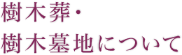 樹木葬・樹木墓地について