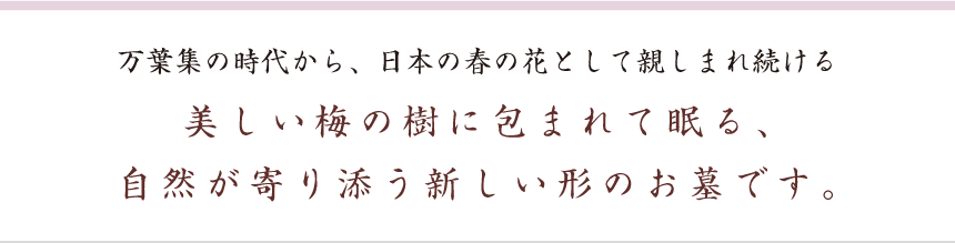 万葉集の時代から、日本の春の花として親しまれ続ける 美しい梅の樹に包まれて眠る、 自然が寄り添う新しい形のお墓です。