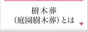 樹木葬(庭園樹木葬)とは